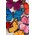 5" BUTTERFLY ASSORTED PKG/12