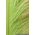 18"- 22" SINGLE OSTRICH FEATHER LIME GREEN