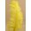 18"-22" OSTRICH FEATHER YELLOW PKG/12