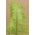 14"-16" SINGLE OSTRICH FEATHER LIME GREEN