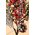 16" ICE BERRY PINE CONE PICK FROST/RED