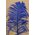 14"-16" SINGLE OSTRICH FEATHER ROYAL BLUE