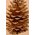 5" PAINTED PINE CONE ON PICK GOLD PKG/12