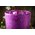 4.25" FROSTED MERCURY GLASS CANDLE HOLDER PURPLE PKG/6