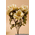 23" MAGNOLIA BUSH BEIGE