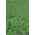 20" X 30' POLY EMBOSSED FOIL MOSS GREEN EA