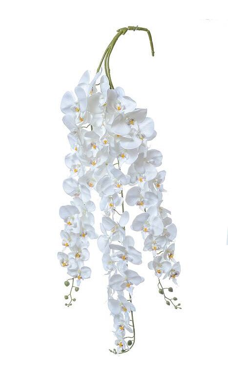 52 Orchid Garland White