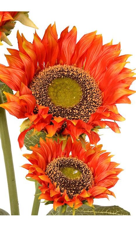 55 Sunflower Stem Orange 