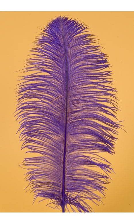 PURPLE OSTRICH FEATHER IS APPROX. 12”