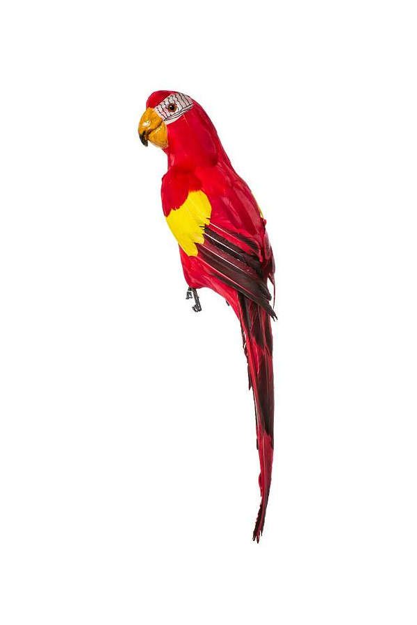 24" FEATHER STANDING  MACAU RED