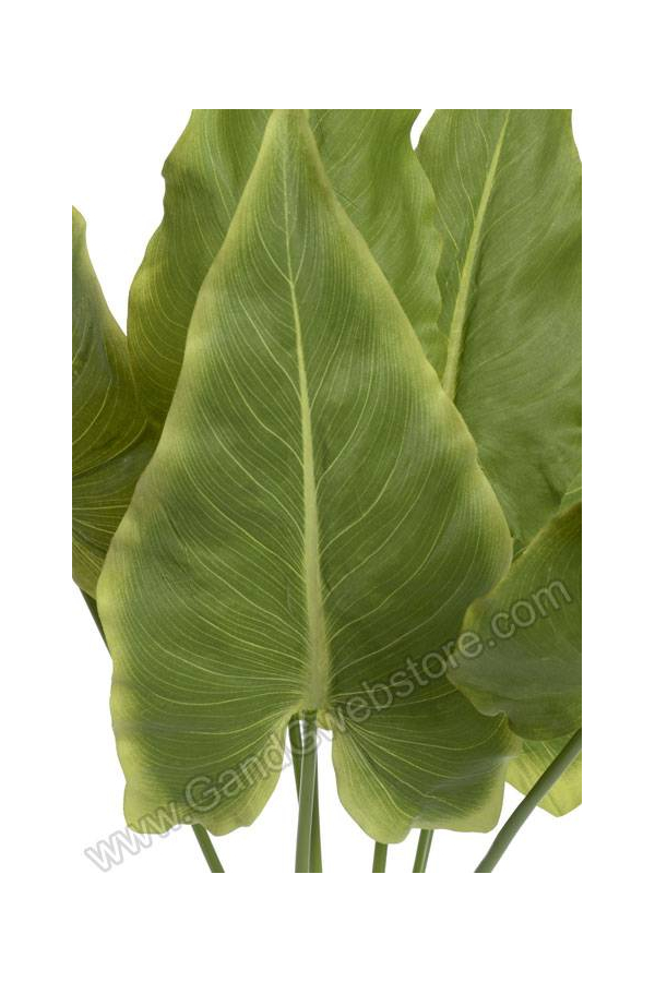 28" CALLA LILY LEAF BUSH GREEN