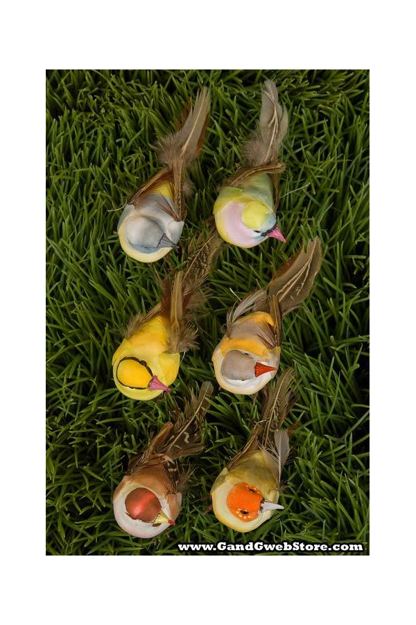3.5" FEATHER BIRD ASSORT PKG/18