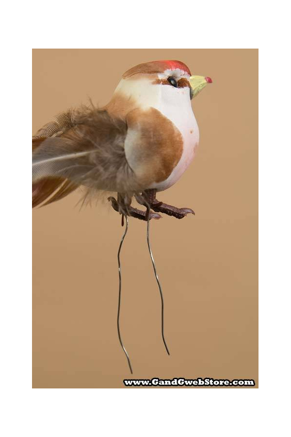 3.5" FEATHER BIRD ASSORT PKG/18