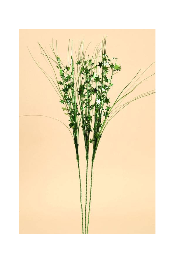21" STAR SPRAY GREEN PKG/12