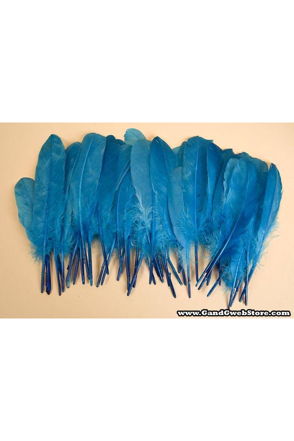 6"- 8" GOOSE FEATHER TURQUOISE PKG/50