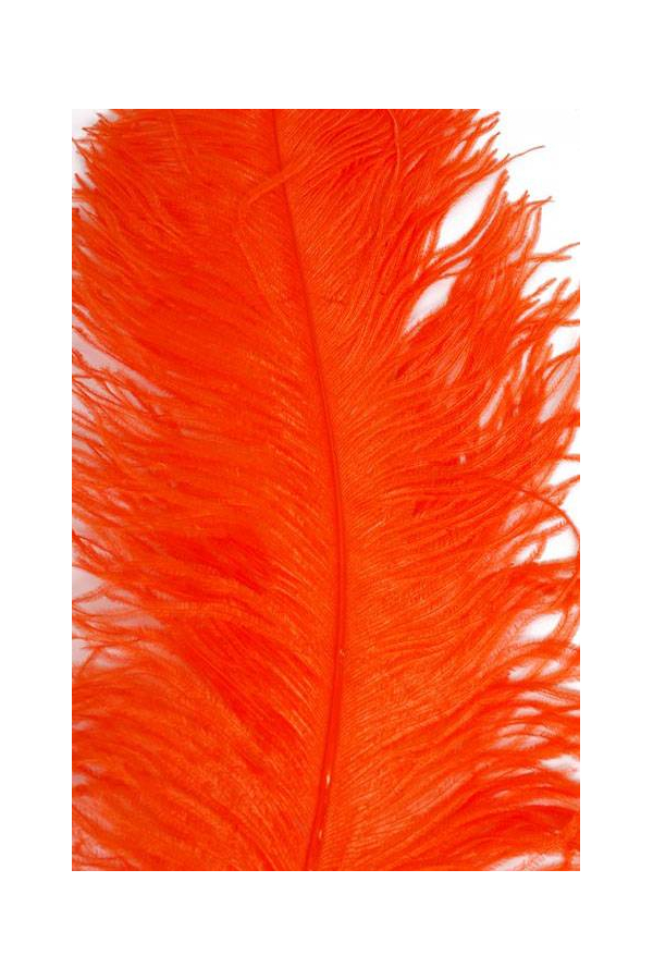 22"-26" OSTRICH FEATHER ORANGE PKG/6