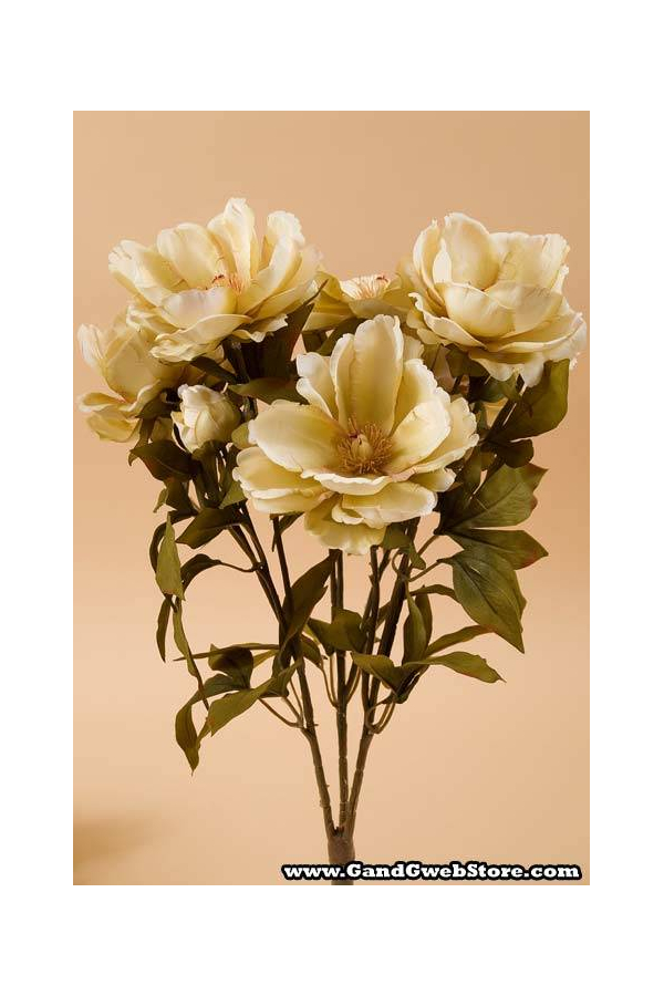 23" MAGNOLIA BUSH BEIGE