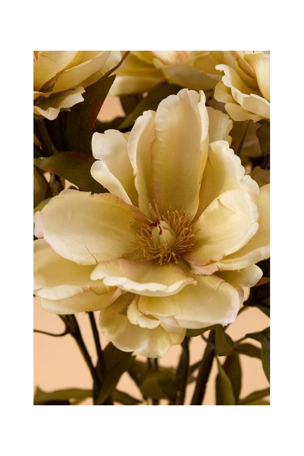 23" MAGNOLIA BUSH BEIGE