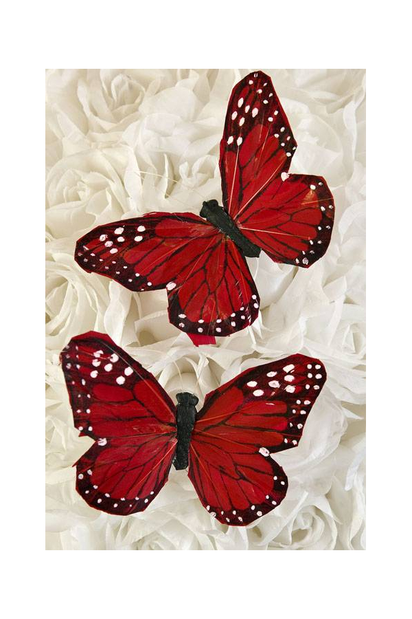 5'' BUTTERFLY RED PKG/12
