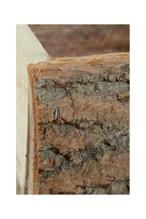 8" X 5.5" WOODEN LOG BOX NATURAL